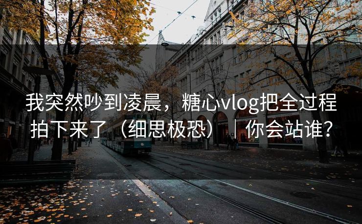 我突然吵到凌晨，糖心vlog把全过程拍下来了（细思极恐）｜你会站谁？