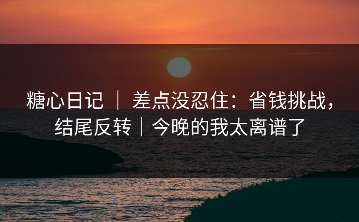糖心日记 ｜ 差点没忍住：省钱挑战，结尾反转｜今晚的我太离谱了